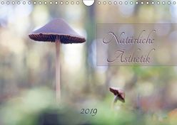 Natürliche Ästhetik (Wandkalender 2019 DIN A4 quer) von Flori0