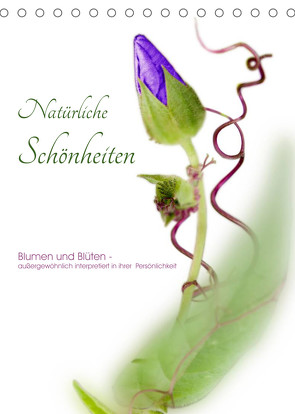 Natürliche Schönheiten – Blumen und Blüten – außergewöhnlich interpretiert in ihrer Persönlichkeit (Tischkalender 2022 DIN A5 hoch) von Waldhelm,  Jutta