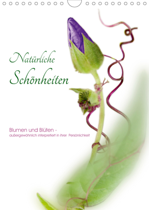 Natürliche Schönheiten – Blumen und Blüten – außergewöhnlich interpretiert in ihrer Persönlichkeit (Wandkalender 2021 DIN A4 hoch) von Waldhelm,  Jutta