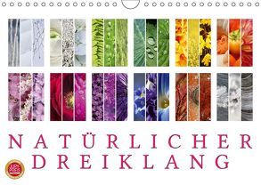 Natürlicher Dreiklang (Wandkalender 2019 DIN A4 quer) von Cross,  Martina