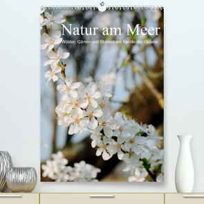 Natur am Meer – Wälder, Gärten und Blumen am Rande der Ostsee (Premium, hochwertiger DIN A2 Wandkalender 2023, Kunstdruck in Hochglanz) von Schneekloth,  Heidi