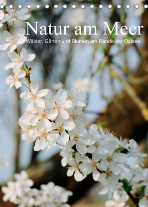 Natur am Meer – Wälder, Gärten und Blumen am Rande der Ostsee (Tischkalender 2022 DIN A5 hoch) von Schneekloth,  Heidi