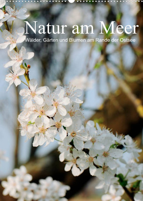 Natur am Meer – Wälder, Gärten und Blumen am Rande der Ostsee (Wandkalender 2022 DIN A2 hoch) von Schneekloth,  Heidi