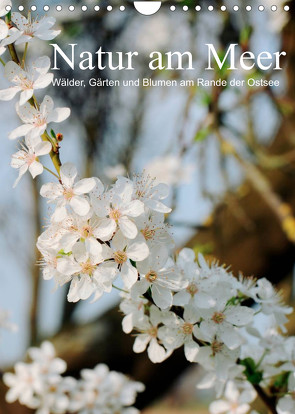 Natur am Meer – Wälder, Gärten und Blumen am Rande der Ostsee (Wandkalender 2022 DIN A4 hoch) von Schneekloth,  Heidi