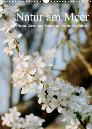 Natur am Meer – Wälder, Gärten und Blumen am Rande der Ostsee (Wandkalender 2023 DIN A3 hoch) von Schneekloth,  Heidi