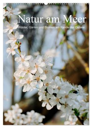 Natur am Meer – Wälder, Gärten und Blumen am Rande der Ostsee (Wandkalender 2024 DIN A2 hoch), CALVENDO Monatskalender von Schneekloth,  Heidi