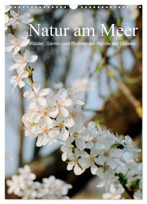 Natur am Meer – Wälder, Gärten und Blumen am Rande der Ostsee (Wandkalender 2024 DIN A3 hoch), CALVENDO Monatskalender von Schneekloth,  Heidi