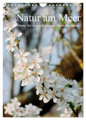 Natur am Meer – Wälder, Gärten und Blumen am Rande der Ostsee (Wandkalender 2024 DIN A4 hoch), CALVENDO Monatskalender von Schneekloth,  Heidi