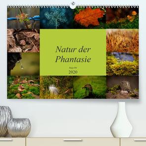 Natur der Phantasie (Premium, hochwertiger DIN A2 Wandkalender 2020, Kunstdruck in Hochglanz) von Magique-Digital