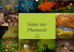 Natur der Phantasie (Wandkalender 2020 DIN A2 quer) von Magique-Digital