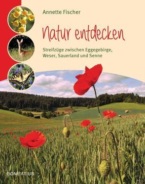 Natur entdecken von Fischer,  Annette