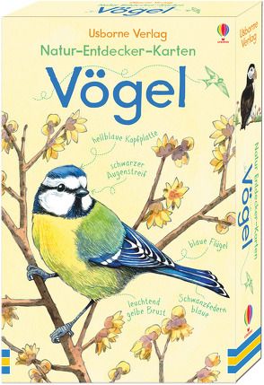 Natur-Entdecker-Karten: Vögel von Bone,  Emily, Cooper,  Jenny