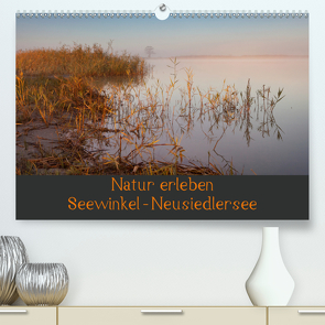 Natur erleben Seewinkel-Neusiedlersee (Premium, hochwertiger DIN A2 Wandkalender 2021, Kunstdruck in Hochglanz) von Schörkhuber,  Johann