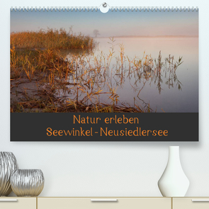 Natur erleben Seewinkel-Neusiedlersee (Premium, hochwertiger DIN A2 Wandkalender 2022, Kunstdruck in Hochglanz) von Schörkhuber,  Johann