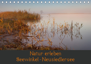 Natur erleben Seewinkel-Neusiedlersee (Tischkalender 2021 DIN A5 quer) von Schörkhuber,  Johann