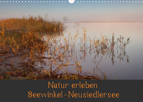 Natur erleben Seewinkel-Neusiedlersee (Wandkalender 2022 DIN A3 quer) von Schörkhuber,  Johann