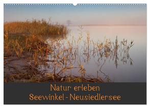 Natur erleben Seewinkel-Neusiedlersee (Wandkalender 2024 DIN A2 quer), CALVENDO Monatskalender von Schörkhuber,  Johann