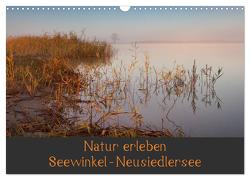 Natur erleben Seewinkel-Neusiedlersee (Wandkalender 2024 DIN A3 quer), CALVENDO Monatskalender von Schörkhuber,  Johann