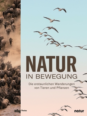 Natur in Bewegung von Stegemann,  Andrea