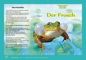 Natur-Kamishibai / Der Frosch von Fischer-Nagel Andreas, Fischer-Nagel,  Heiderose, Zornik,  Marzena