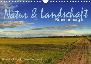 Natur & Landschaf Brandenburg (Wandkalender 2021 DIN A4 quer) von HauptstadtfotografiX