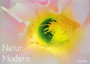 Natur Modern (Posterbuch DIN A4 quer) von AnBe,  by