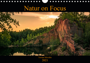 Natur on Focus (Wandkalender 2021 DIN A4 quer) von Mitschke,  Torsten