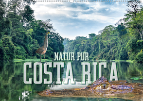 Natur pur, Costa Rica (Wandkalender 2021 DIN A2 quer) von Gödecke,  Dieter