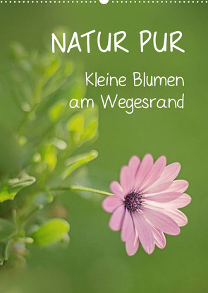 NATUR PUR Kleine Blumen am Wegesrand (Wandkalender 2023 DIN A2 hoch) von Dietzel,  Karin