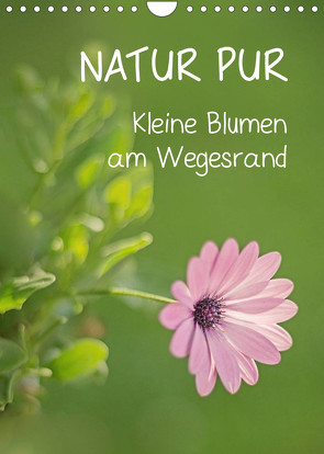 NATUR PUR Kleine Blumen am Wegesrand (Wandkalender 2023 DIN A4 hoch) von Dietzel,  Karin