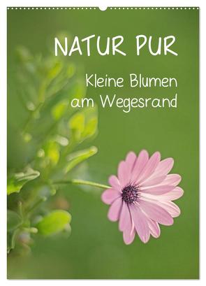 NATUR PUR Kleine Blumen am Wegesrand (Wandkalender 2024 DIN A2 hoch), CALVENDO Monatskalender von Dietzel,  Karin