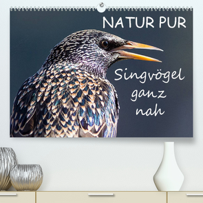 NATUR PUR – Singvögel ganz nah (Premium, hochwertiger DIN A2 Wandkalender 2023, Kunstdruck in Hochglanz) von Dietzel,  Karin