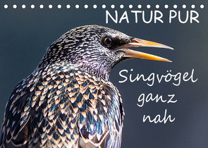 NATUR PUR – Singvögel ganz nah (Tischkalender 2023 DIN A5 quer) von Dietzel,  Karin