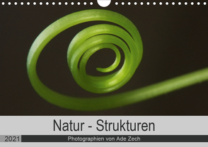 Natur – Strukturen (Wandkalender 2021 DIN A4 quer) von Zech,  Ade