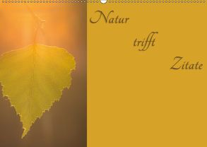 Natur trifft Zitate (Wandkalender 2019 DIN A2 quer) von Kulla,  Alexander