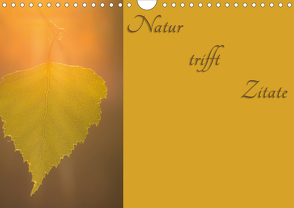 Natur trifft Zitate (Wandkalender 2021 DIN A4 quer) von Kulla,  Alexander