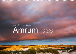 Natur und Landschaften. Amrum 2022 (Wandkalender 2022 DIN A2 quer) von Koch,  Lucyna