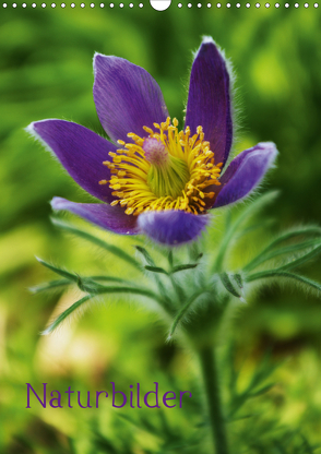 Naturbilder (Wandkalender 2020 DIN A3 hoch) von Tanja Riedel,  by