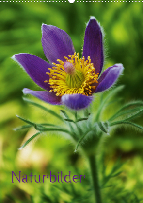 Naturbilder (Wandkalender 2021 DIN A2 hoch) von Tanja Riedel,  by