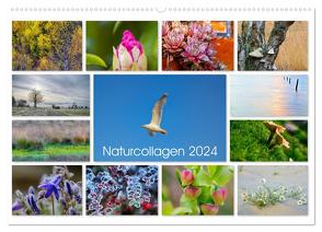 Naturcollagen 2024 (Wandkalender 2024 DIN A2 quer), CALVENDO Monatskalender von Nöh,  Christine