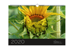 Nature Art Kalender 2020 von Haas,  Ulrich