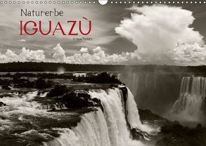 Naturerbe Iguazú (Wandkalender 2019 DIN A3 quer) von boeTtchEr,  U