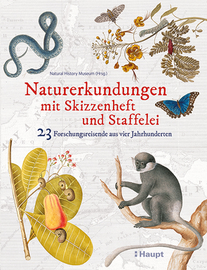 Naturerkundungen mit Skizzenheft und Staffelei von Krabbe,  Wiebke