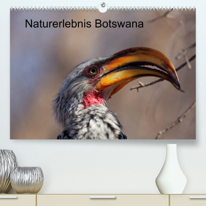 Naturerlebnis Botswana (Premium, hochwertiger DIN A2 Wandkalender 2022, Kunstdruck in Hochglanz) von Willy Bruechle,  Dr.