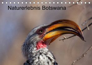 Naturerlebnis Botswana (Tischkalender 2022 DIN A5 quer) von Willy Bruechle,  Dr.