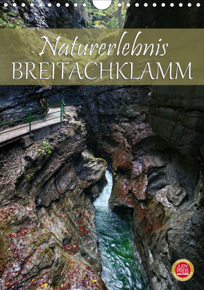 Naturerlebnis Breitachklamm (Wandkalender 2020 DIN A4 hoch) von Cross,  Martina