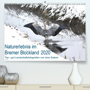 Naturerlebnis im Bremer Blockland (Premium, hochwertiger DIN A2 Wandkalender 2020, Kunstdruck in Hochglanz) von Siebert,  Jens