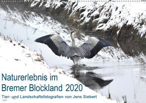 Naturerlebnis im Bremer Blockland (Wandkalender 2020 DIN A2 quer) von Siebert,  Jens