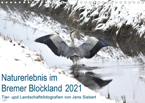 Naturerlebnis im Bremer Blockland (Wandkalender 2021 DIN A4 quer) von Siebert,  Jens