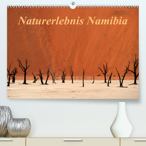 Naturerlebnis Namibia (Premium, hochwertiger DIN A2 Wandkalender 2023, Kunstdruck in Hochglanz) von Hawerkamp,  Hans-Wolfgang